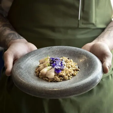 Hotel Casa Clat - Boutique